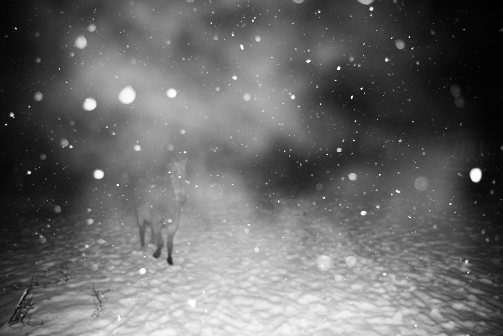 © Jana Plavec - Image from the Daymare photography project