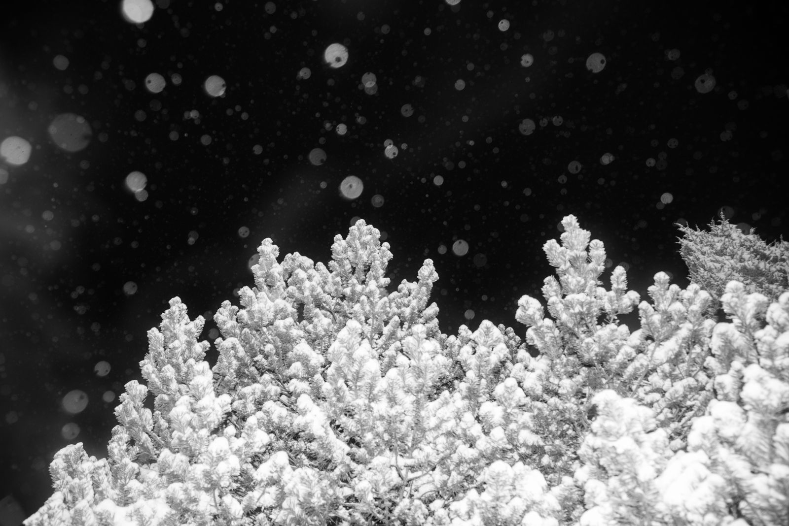 © Jana Plavec - Image from the Daymare photography project