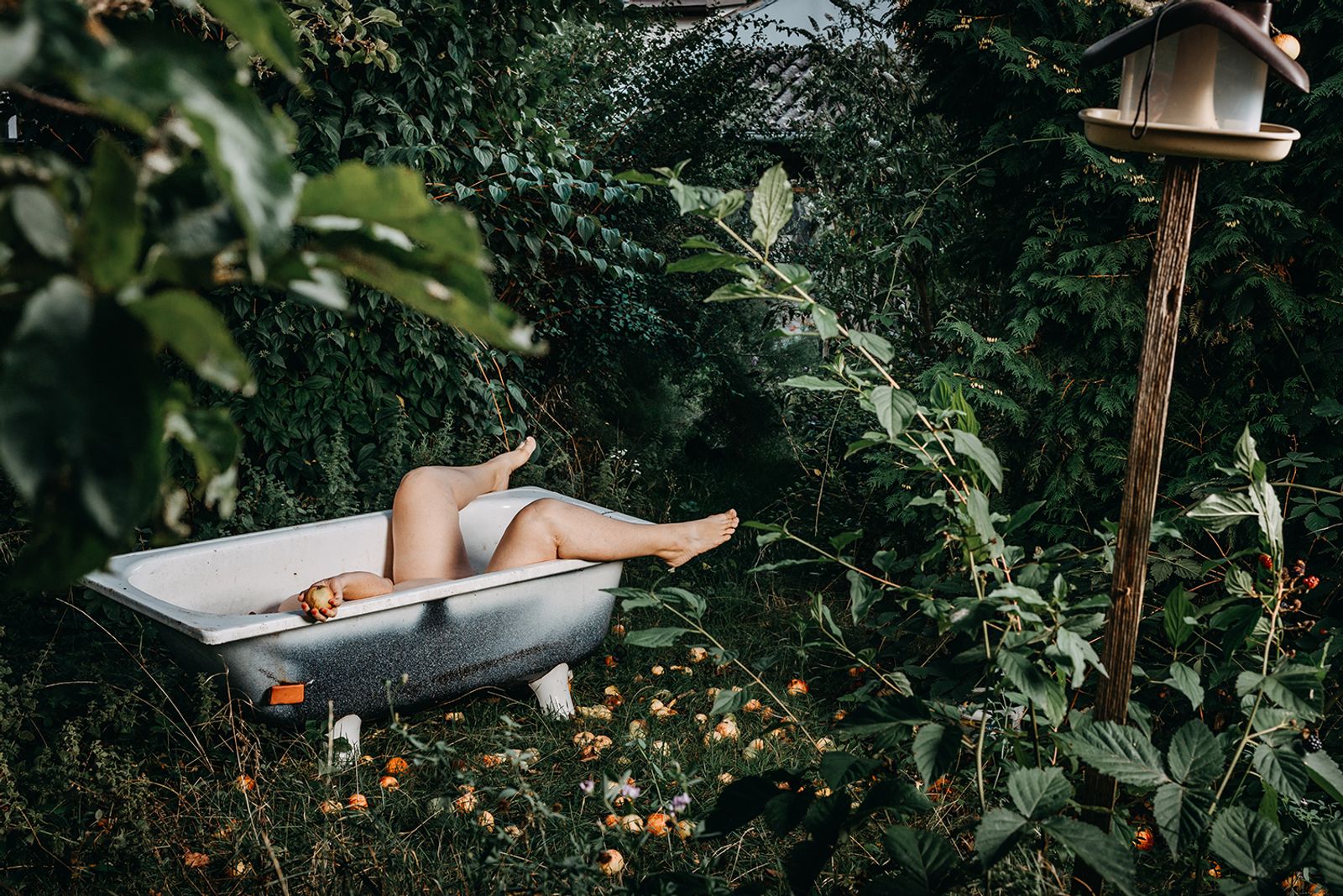 © Jana Plavec - Image from the Garden with Fallen Apples photography project