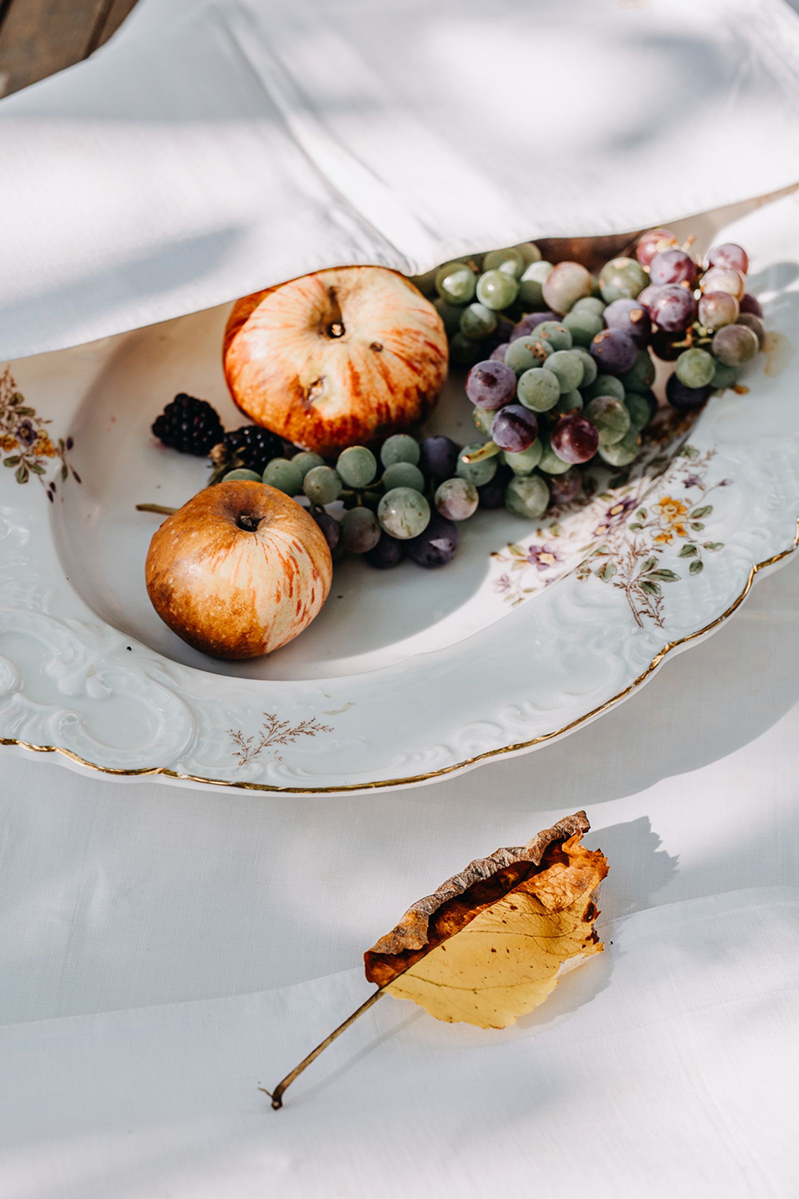 © Jana Plavec - Image from the Garden with Fallen Apples photography project