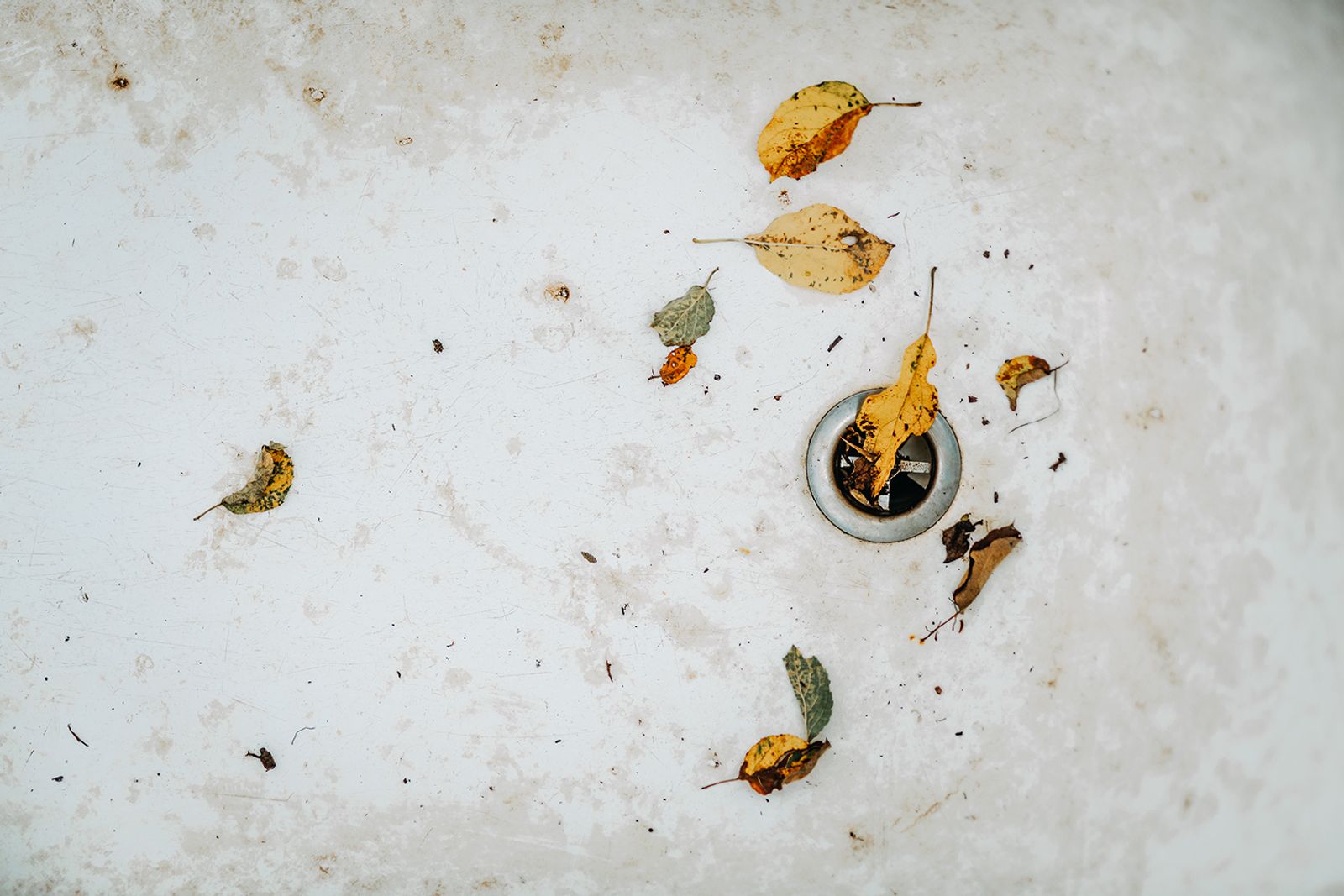 © Jana Plavec - Image from the Garden with Fallen Apples photography project