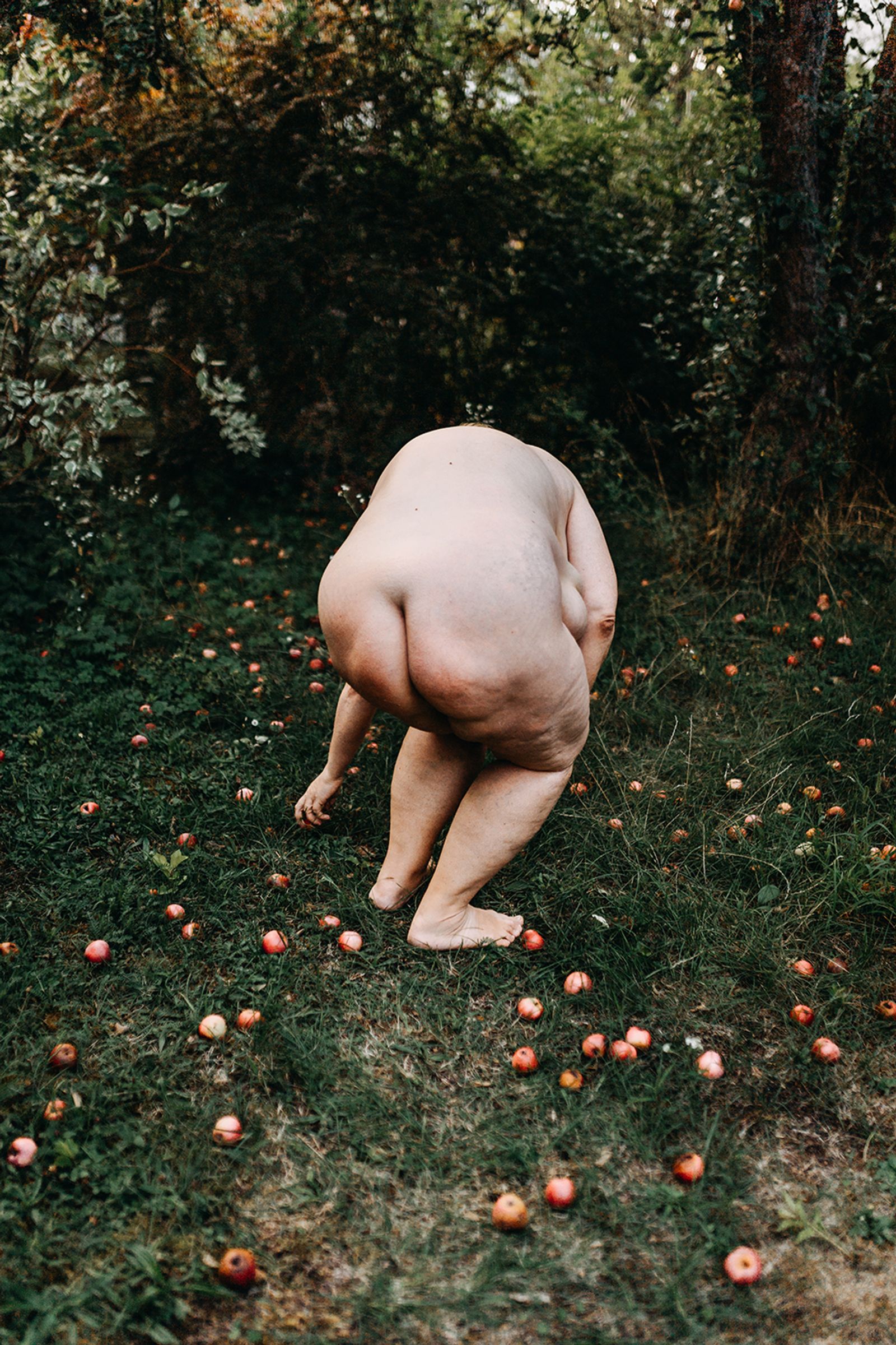 © Jana Plavec - Image from the Garden with Fallen Apples photography project