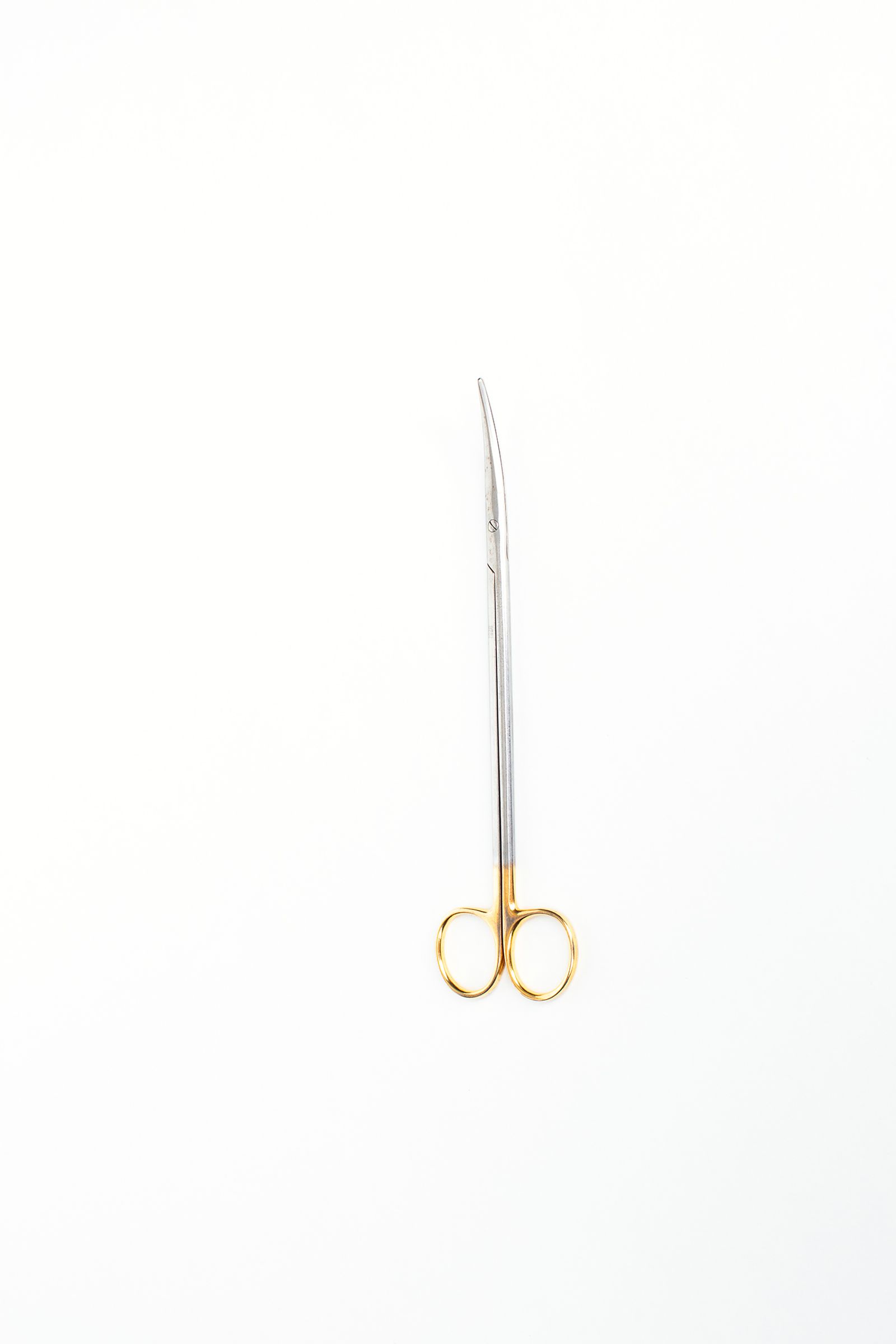 © Ellen Smeets - Image from the Reconstructions as fundamental methods photography project