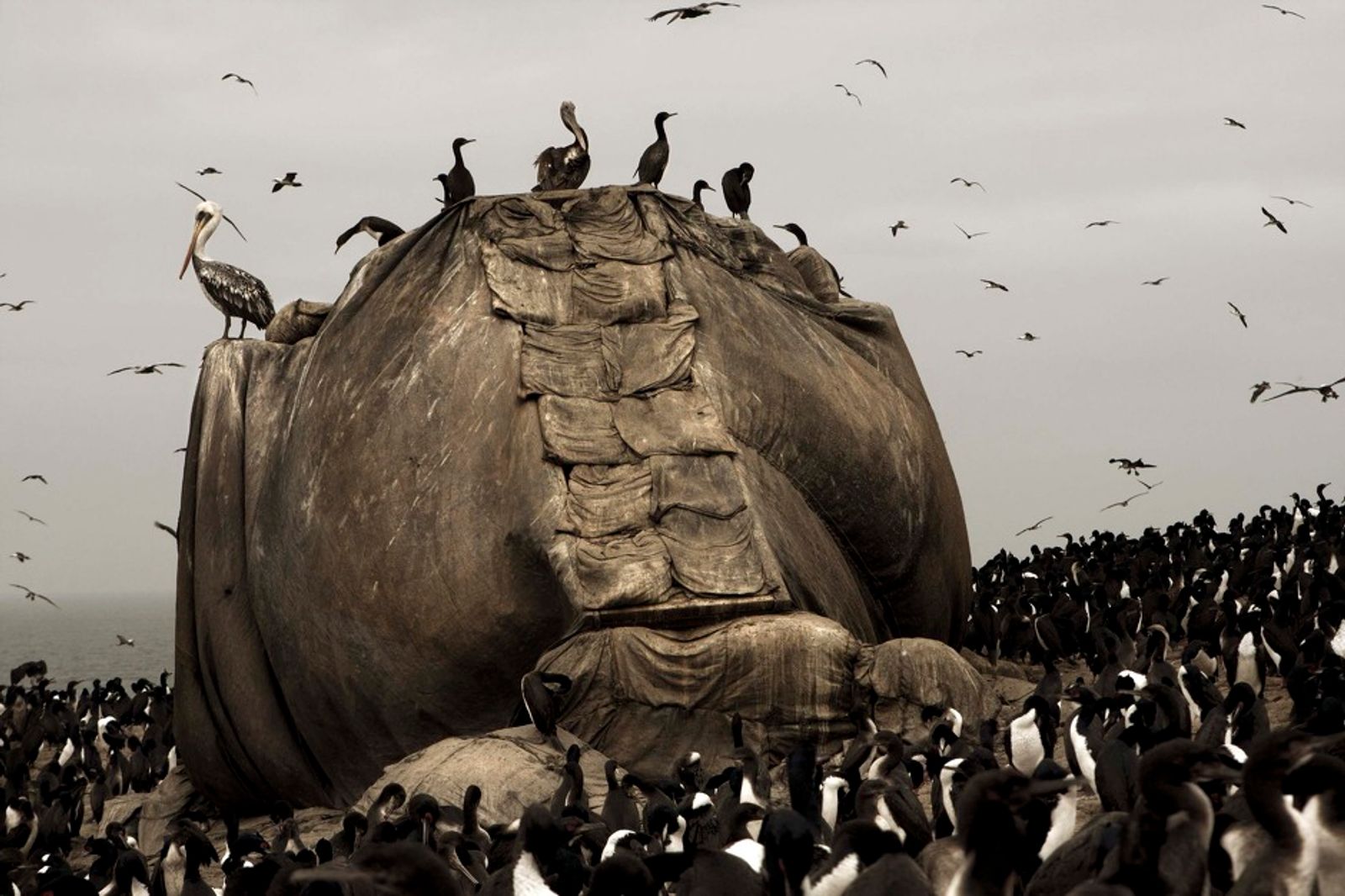 © Ernesto Benavides - Image from the WANU photography project