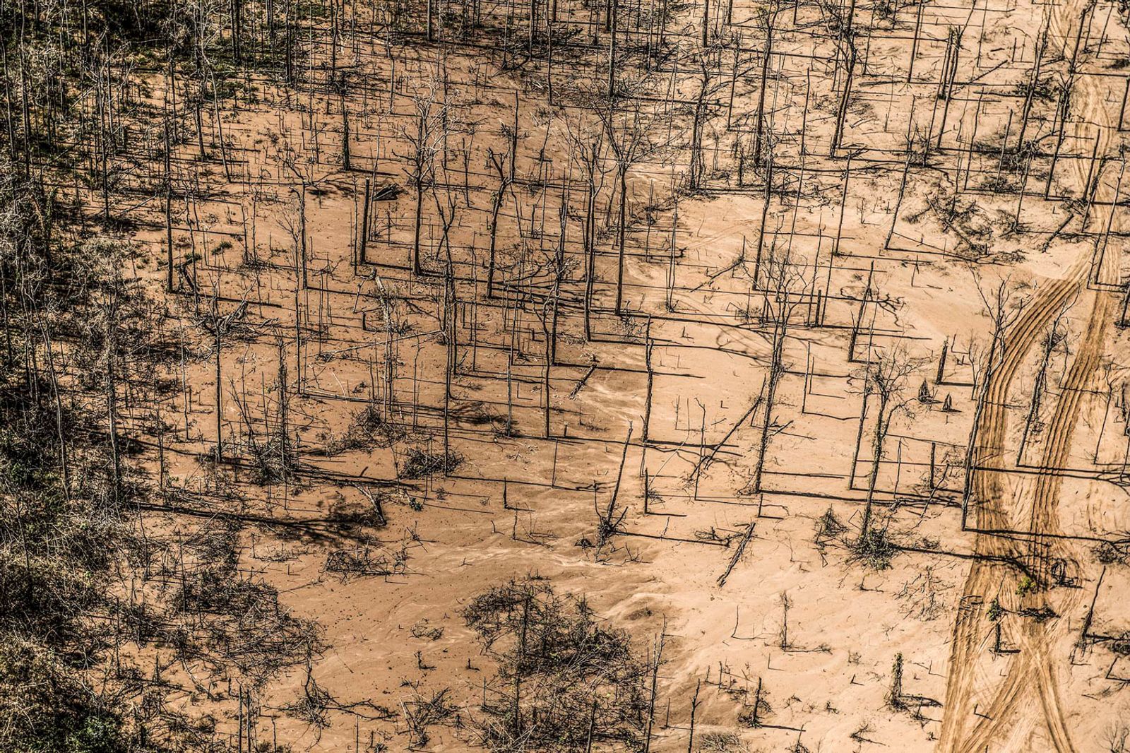 © Ernesto Benavides - Image from the "LA PAMPA" photography project
