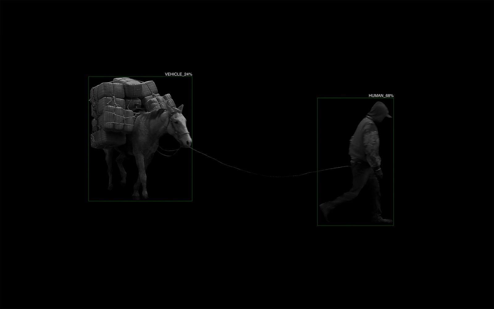 © Alex Turner - 1 “Vehicle” and 1 Human (Smuggler) with A.I. Recognition, Censored Location, AZ