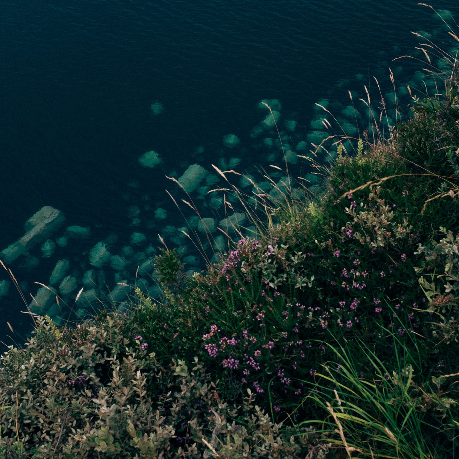 © Alana Celii - Kilt Rock, 2018