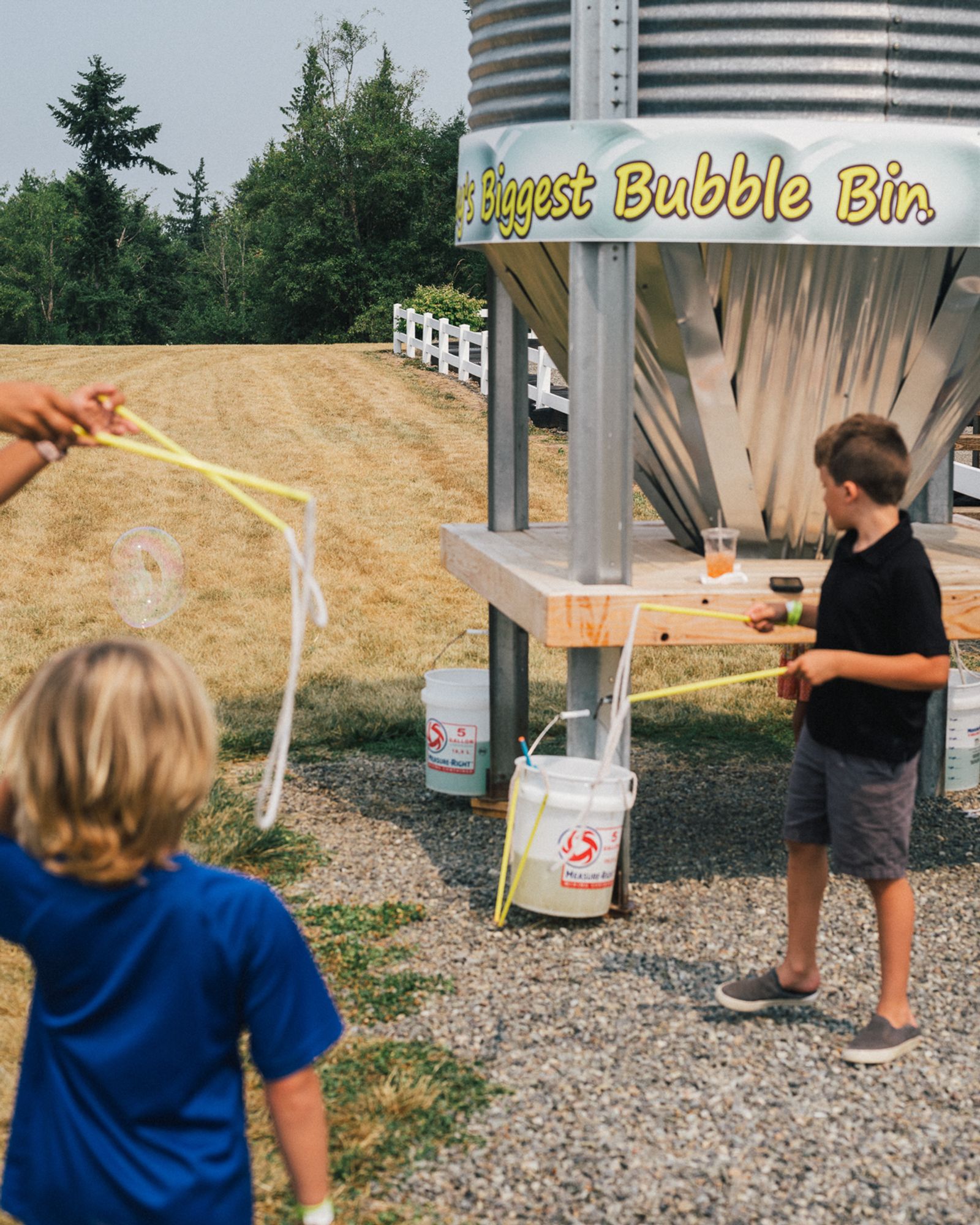 © Alana Celii - The biggest bubble bin at the Maris Farm Sunflower Days Festival in Buckley, WA.