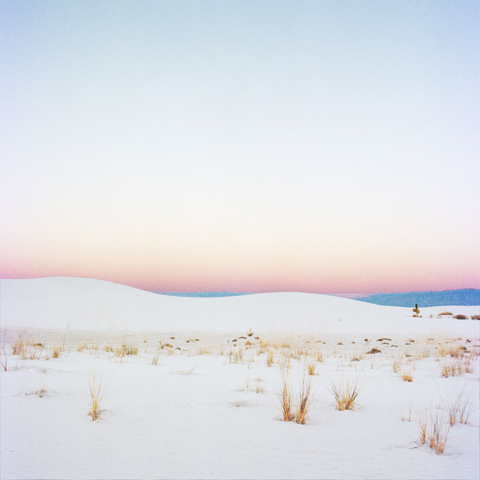© Alana Celii - White Sands, 2013