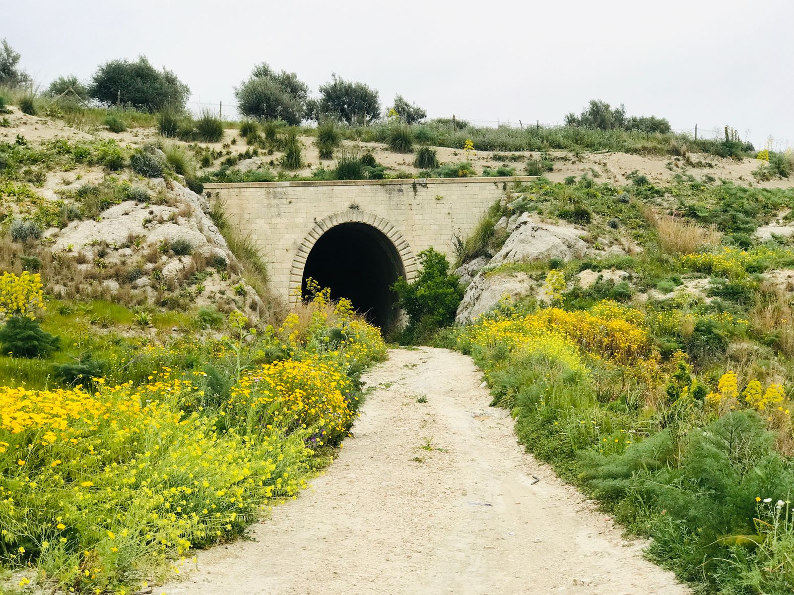 © AVAMPOSTI CULTURALI  |  DIDEMAIMAGES - Image from the stazioni dimenticate, Italy photography project