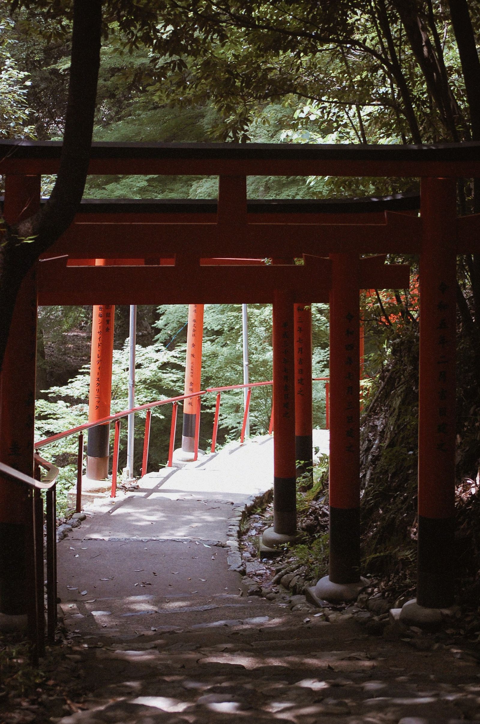 © chiara emme - Kyoto, Japan