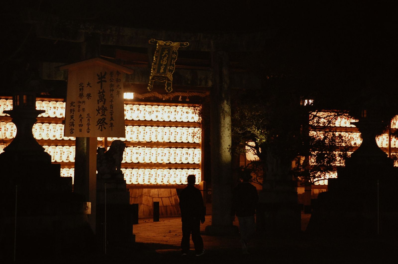 © chiara emme - Image from the 一緒に花見に行こうか？ photography project