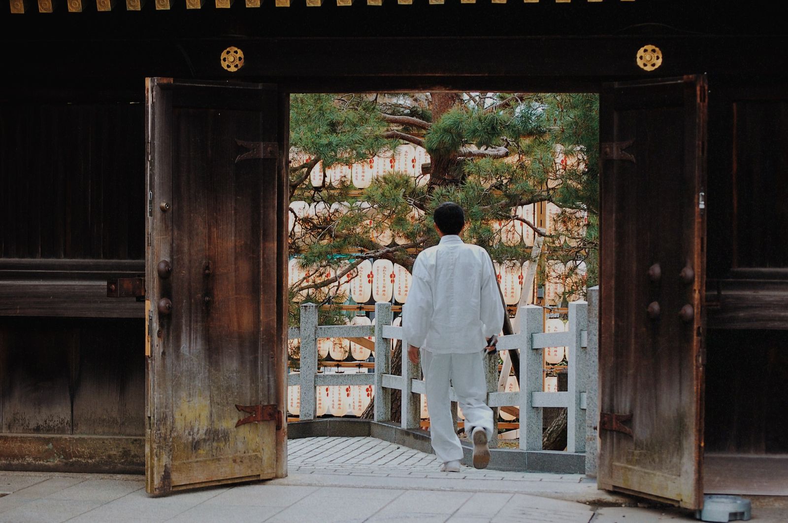 © chiara emme - Image from the 一緒に花見に行こうか？ photography project