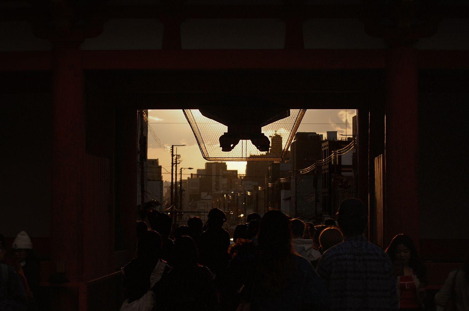© chiara emme - Image from the 一緒に花見に行こうか？ photography project