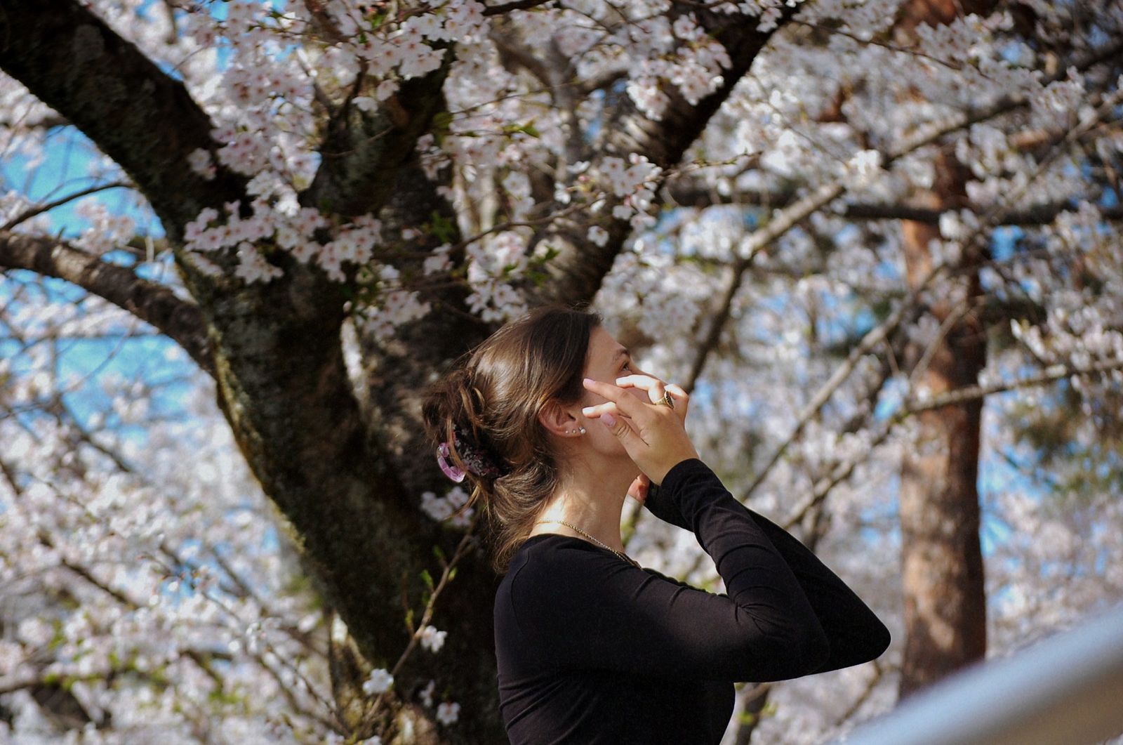 © chiara emme - Image from the 一緒に花見に行こうか？ photography project