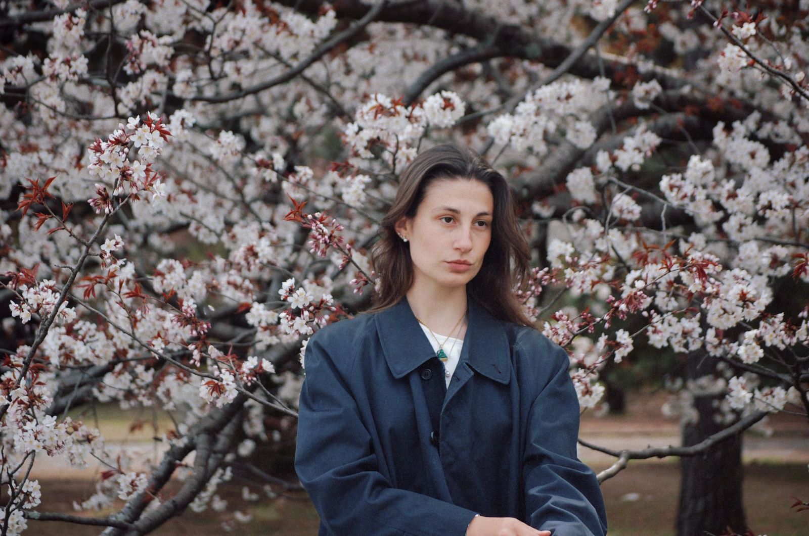 © chiara emme - Image from the 一緒に花見に行こうか？ photography project