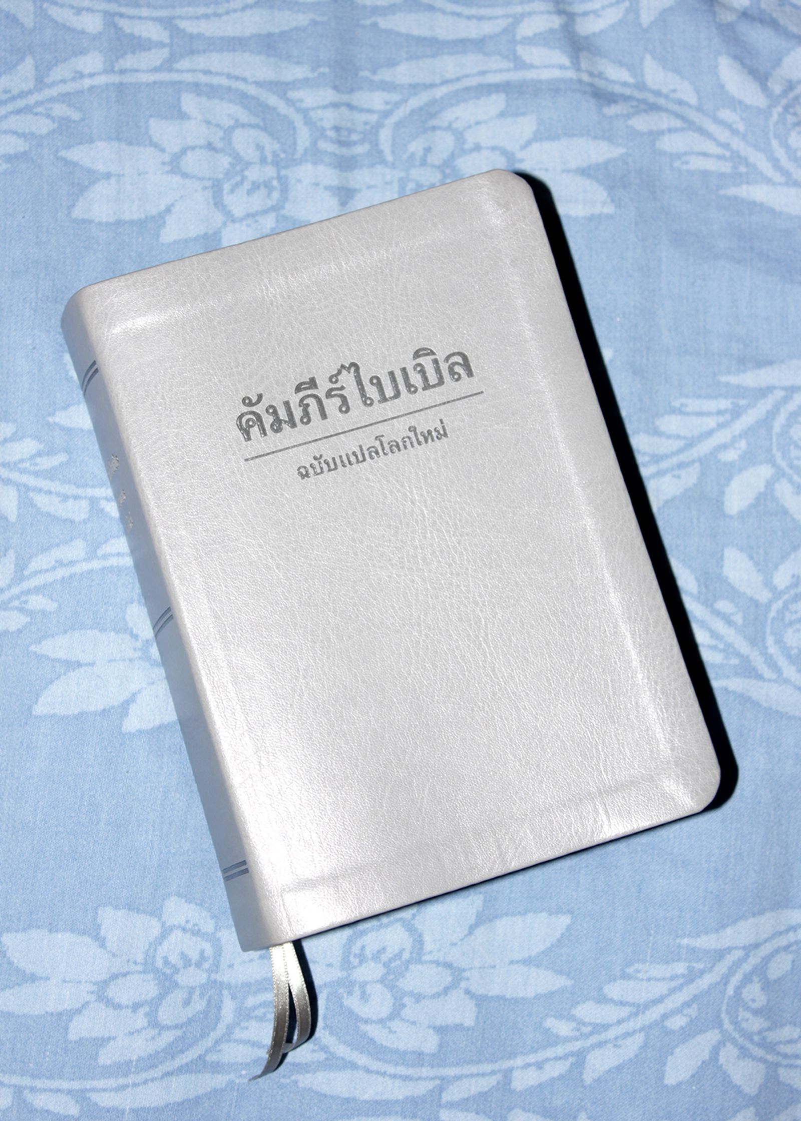 © Petra Vlčková - Bible in Thai translation.