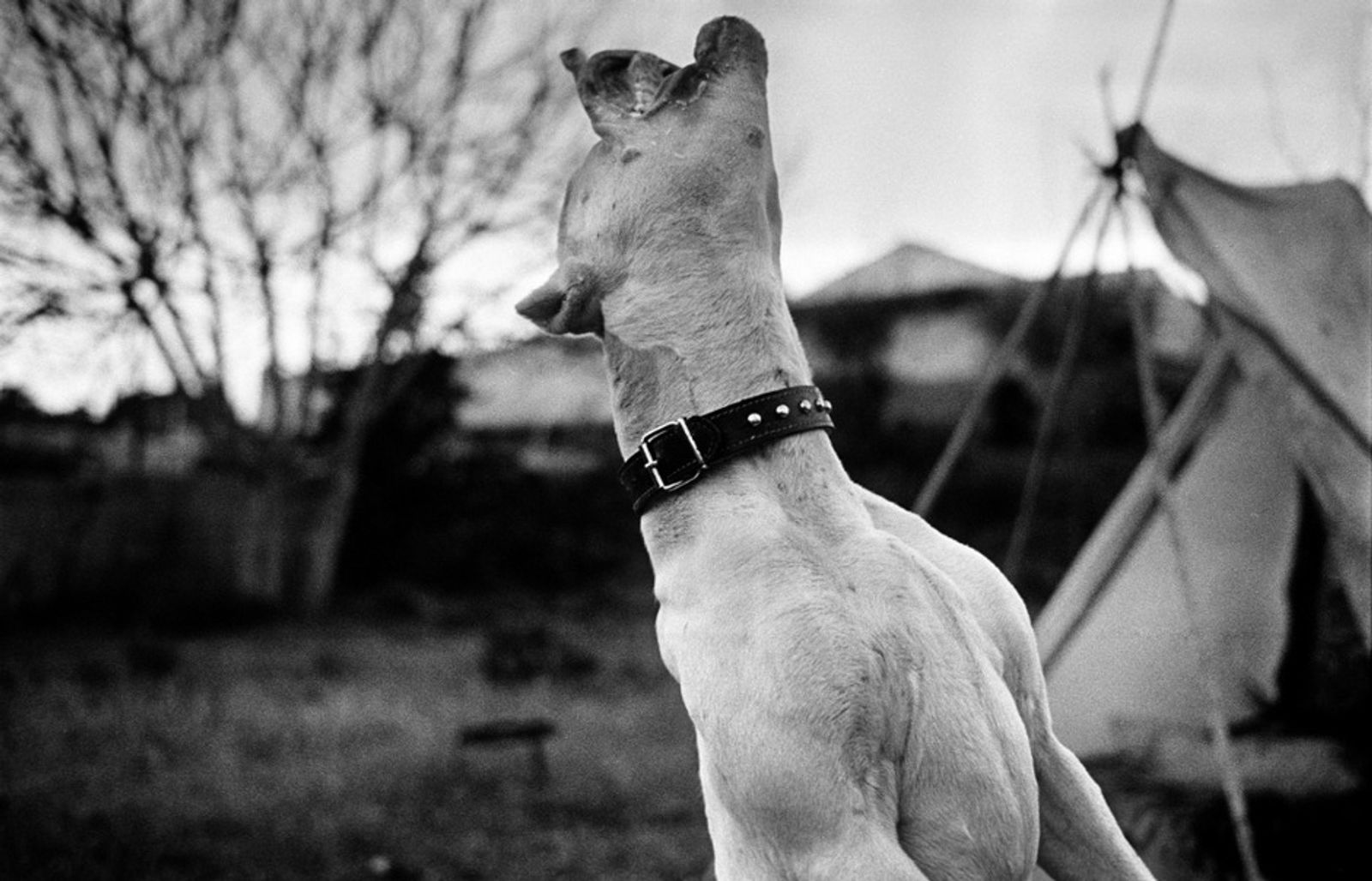 © Tomeu Coll - Image from the BADLANDS photography project