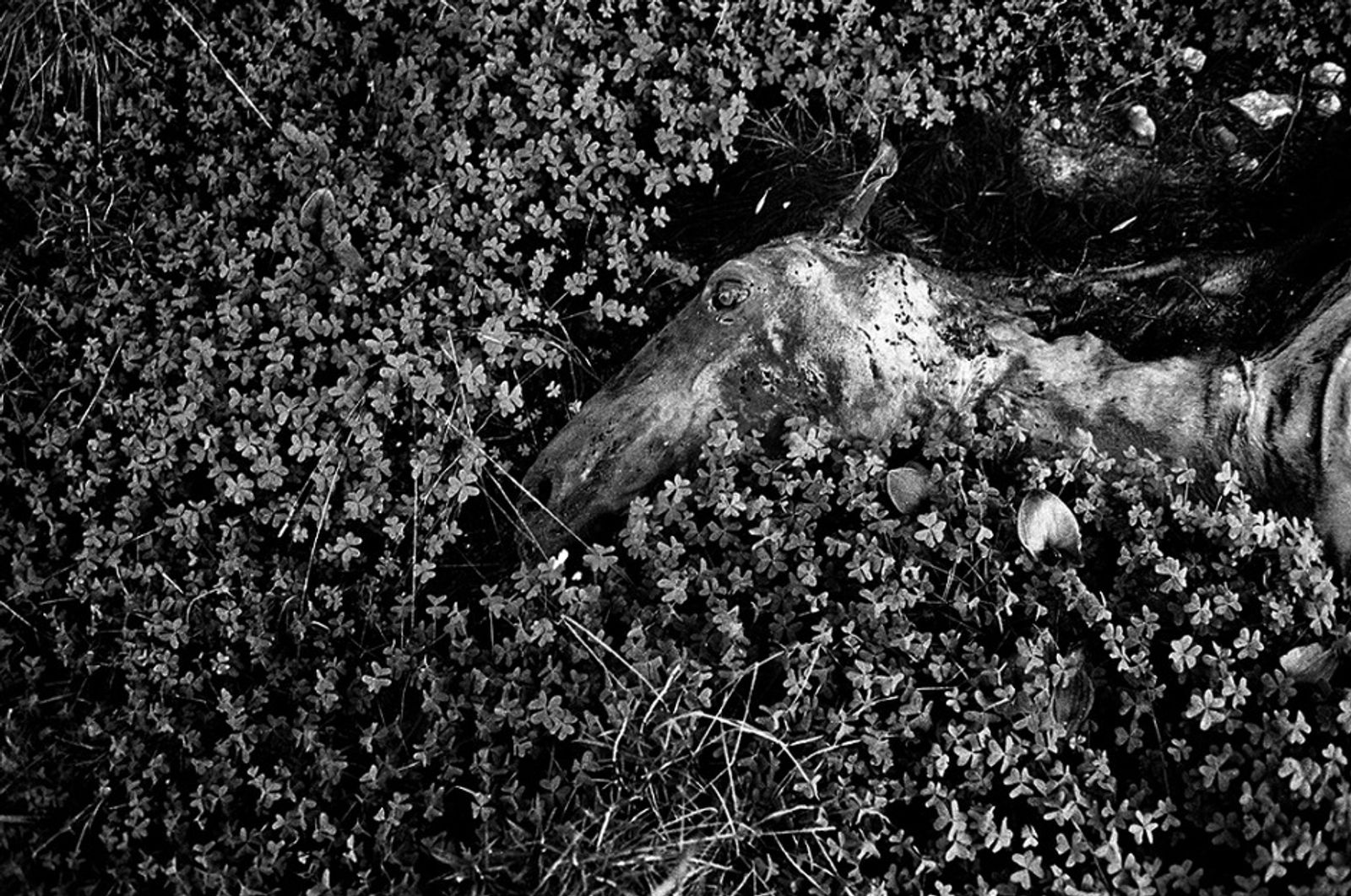 © Tomeu Coll - Image from the BADLANDS photography project