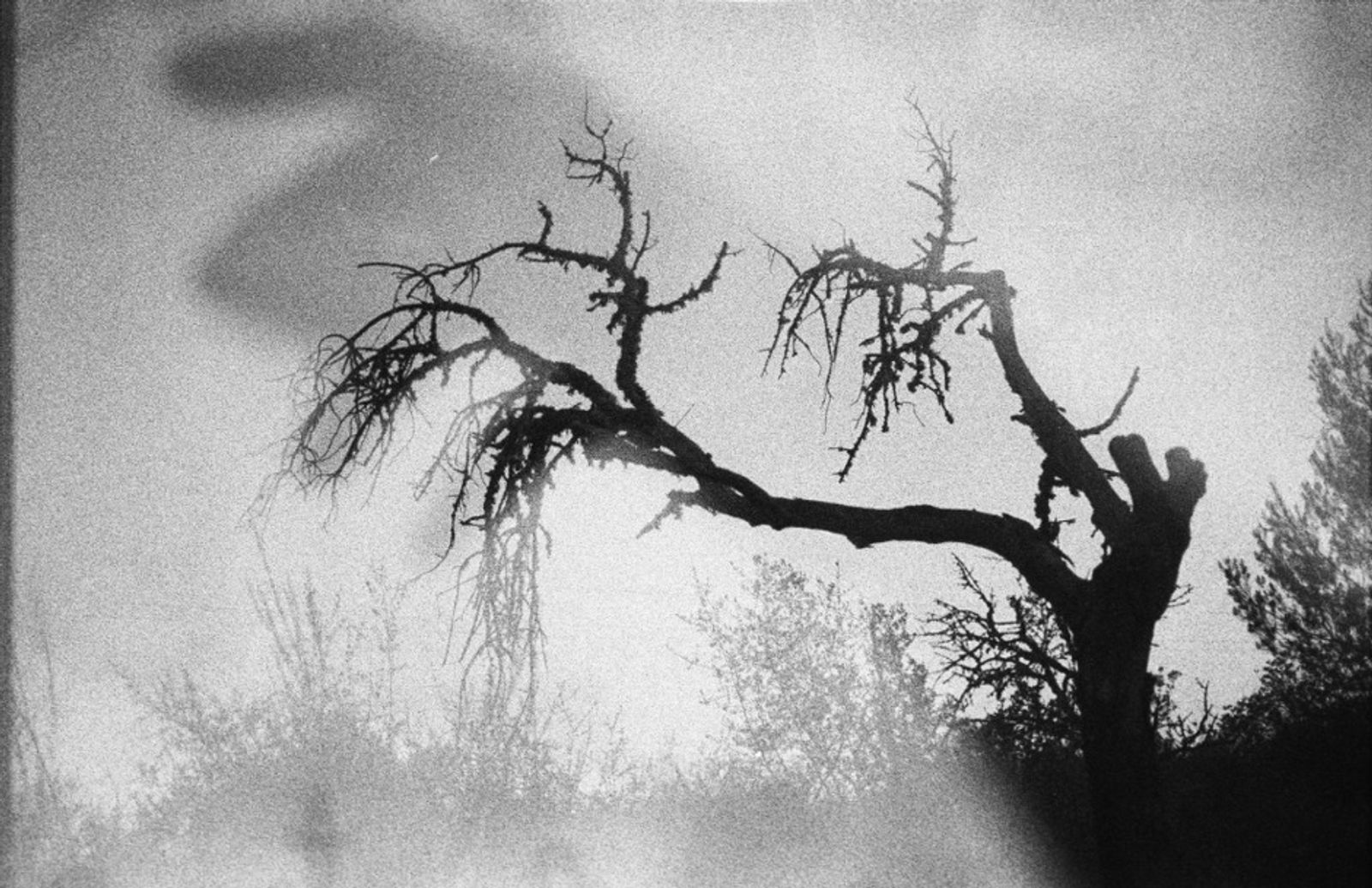 © Tomeu Coll - Image from the BADLANDS photography project