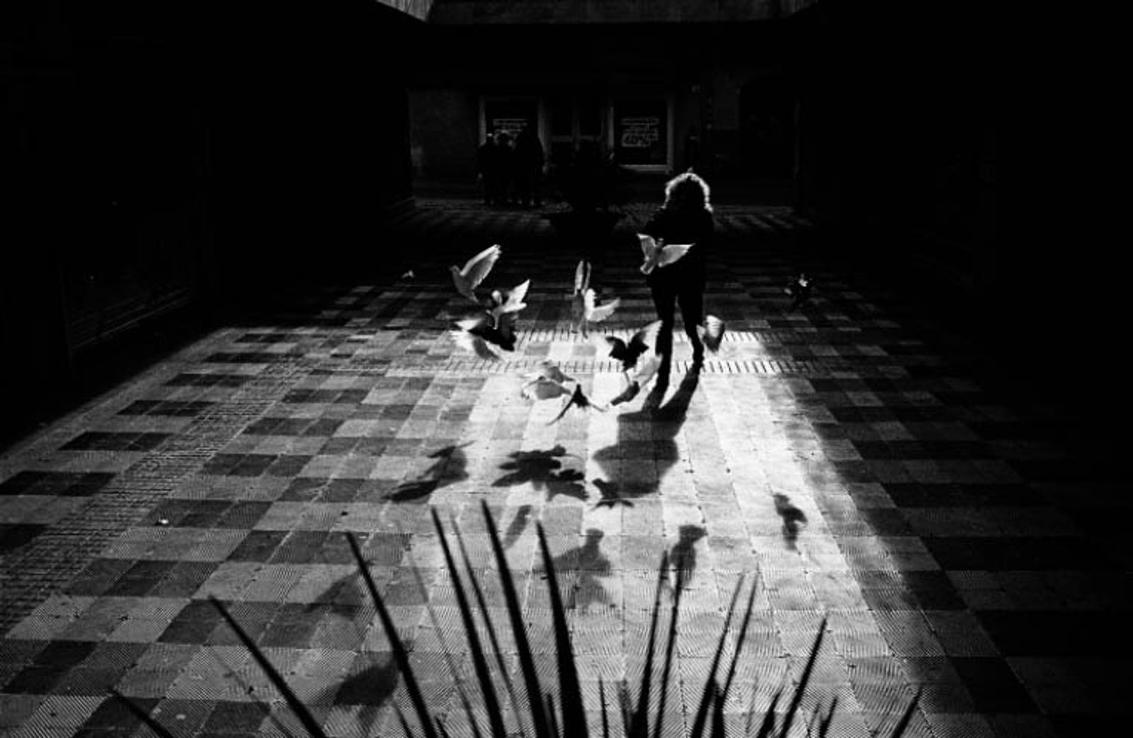 © Tomeu Coll - Image from the Suburbia photography project