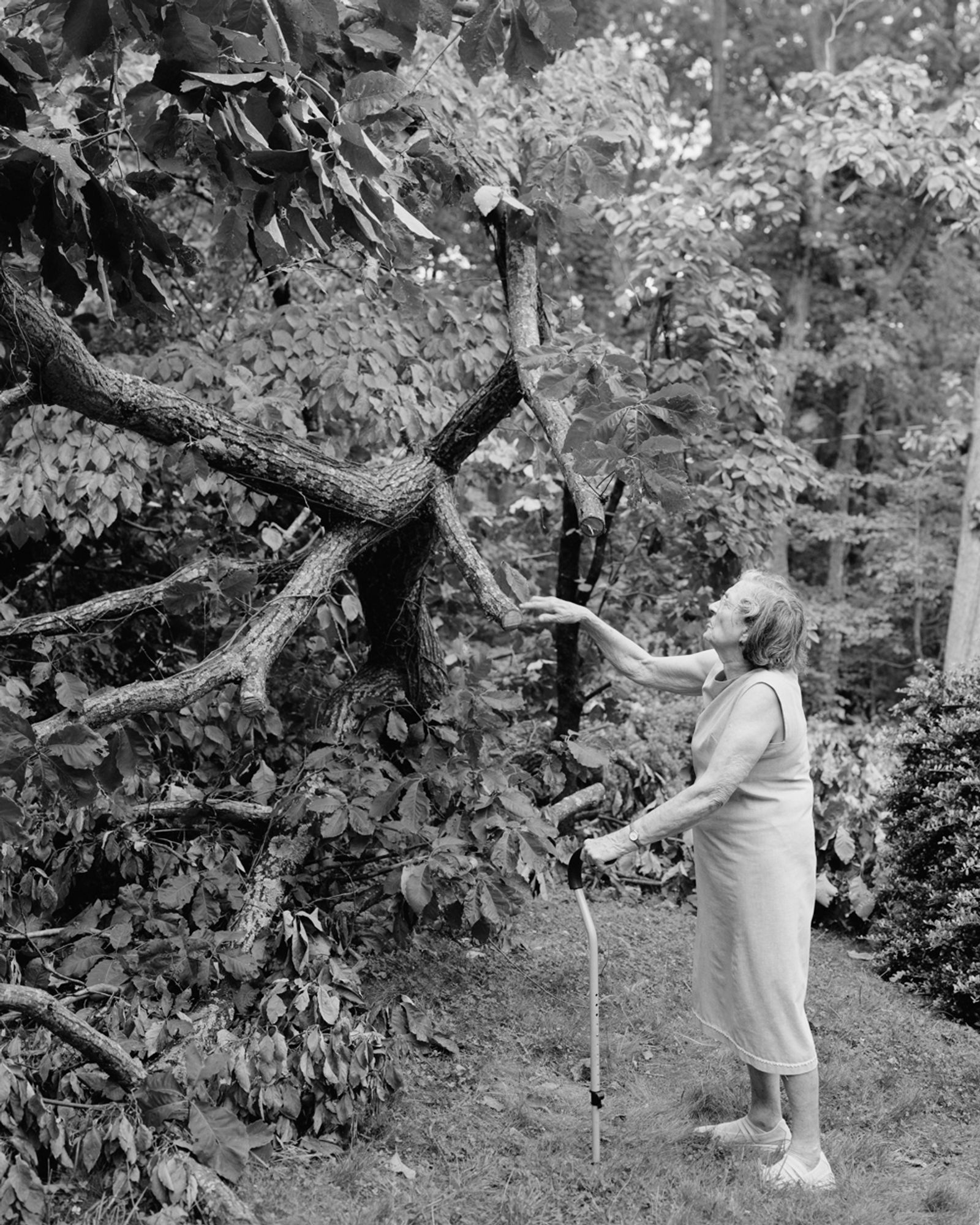 © Susan Worsham - "Margaret with Broken Chestnut Oak"