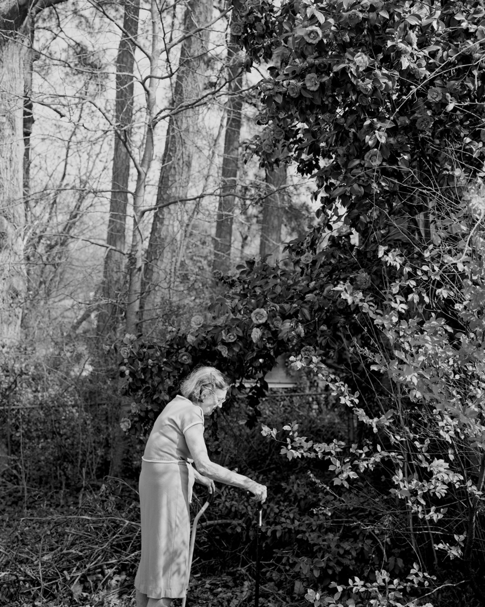 © Susan Worsham - Image from the Bittersweet on Bostwick Lane photography project