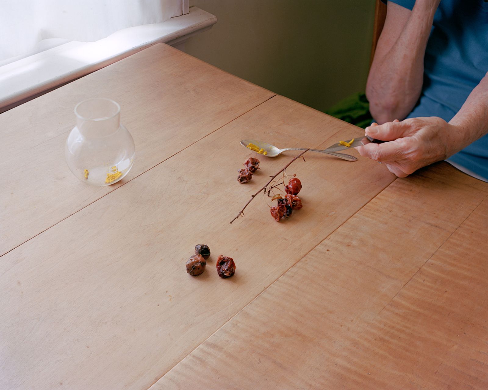 © Susan Worsham - "Pollen Knife (Margaret with Collected Pollen from my Mother's Camellia)"