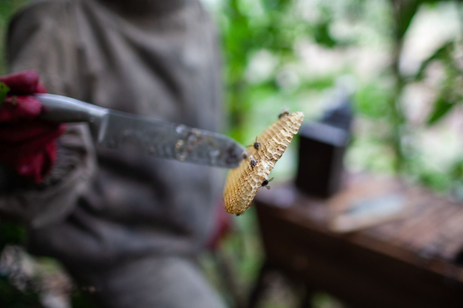 © Eleri Griffiths - Bi-products such as wax can bee use to make candles, soaps and salves which is an additional way to generate income.