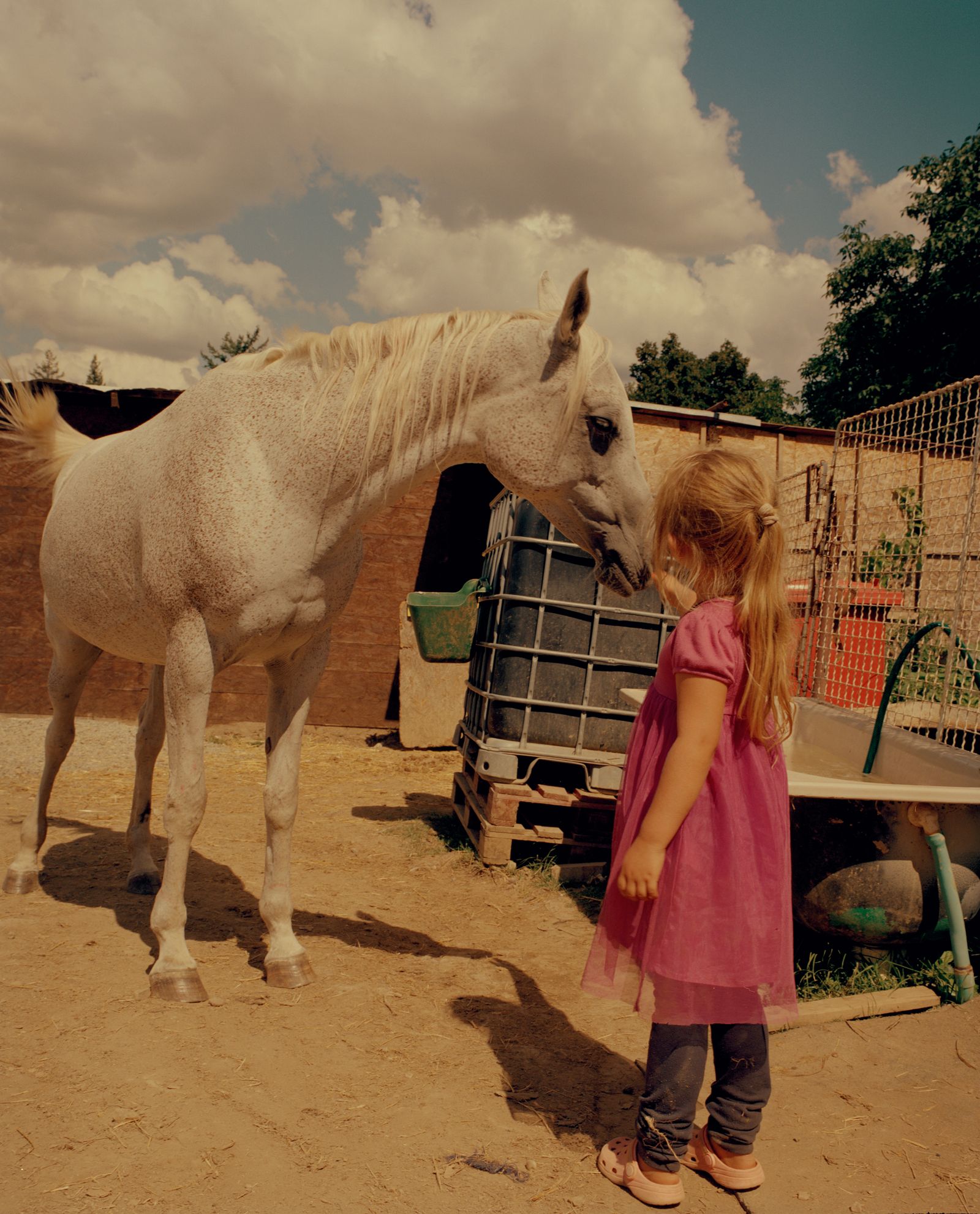 © Varvara Gorbunova - Image from the Midday Heat at the Stables photography project