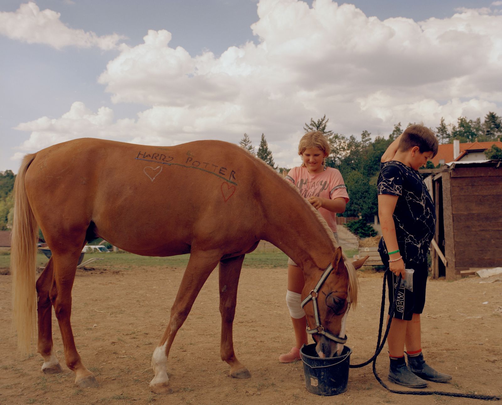 © Varvara Gorbunova - Image from the Midday Heat at the Stables photography project