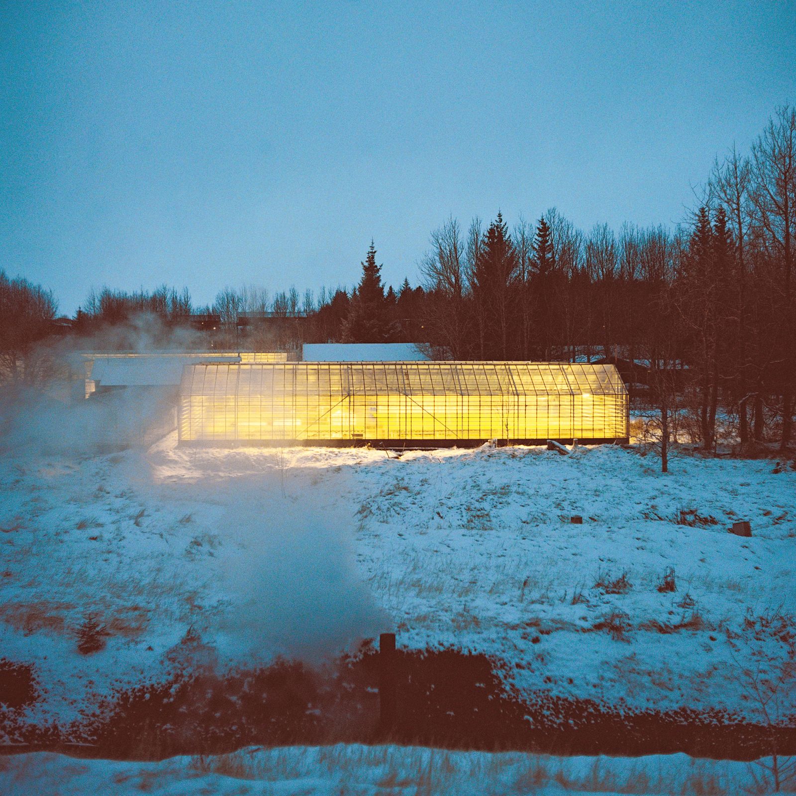 © Vassilis Triantis - The family's greenhouses.