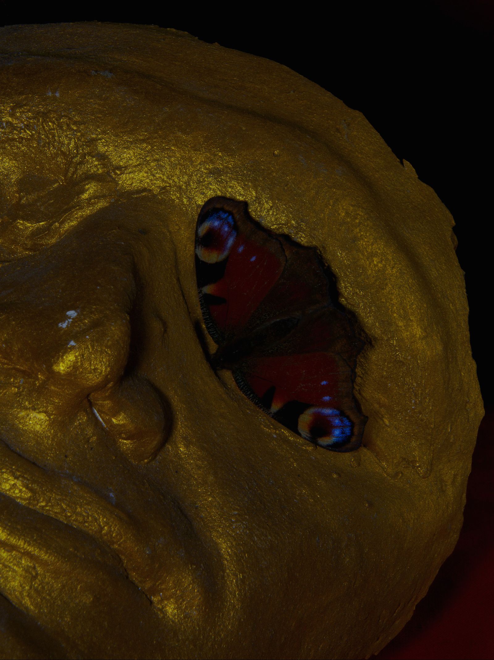 The Error's Possibilities: Luca Santese's Exhibition Mutter Opens In Berlin