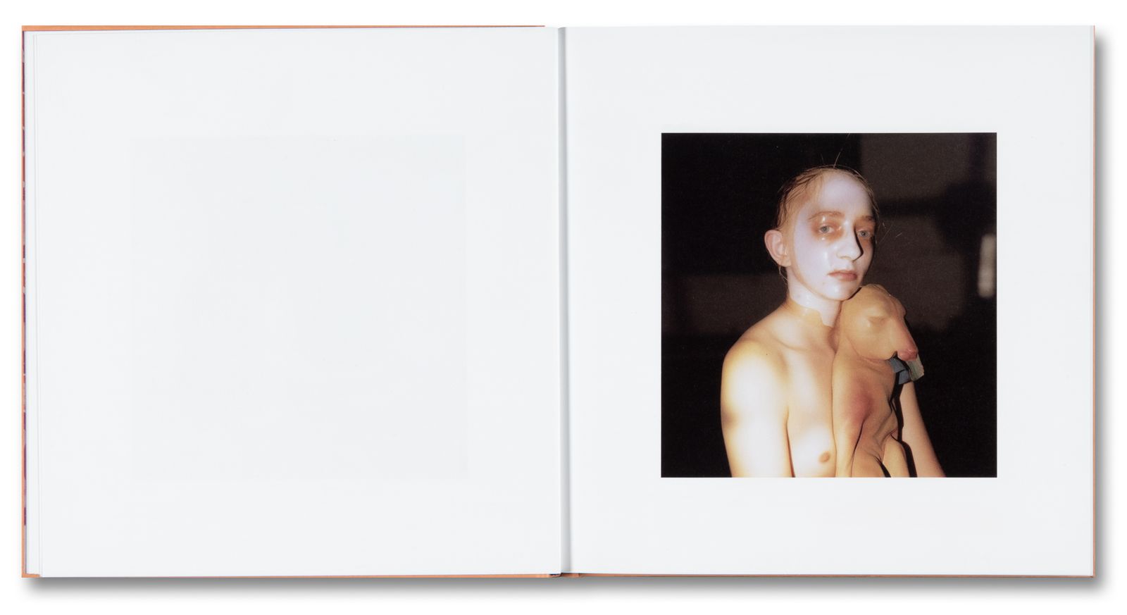 Photobook Review: Cursed by Charlie Engman