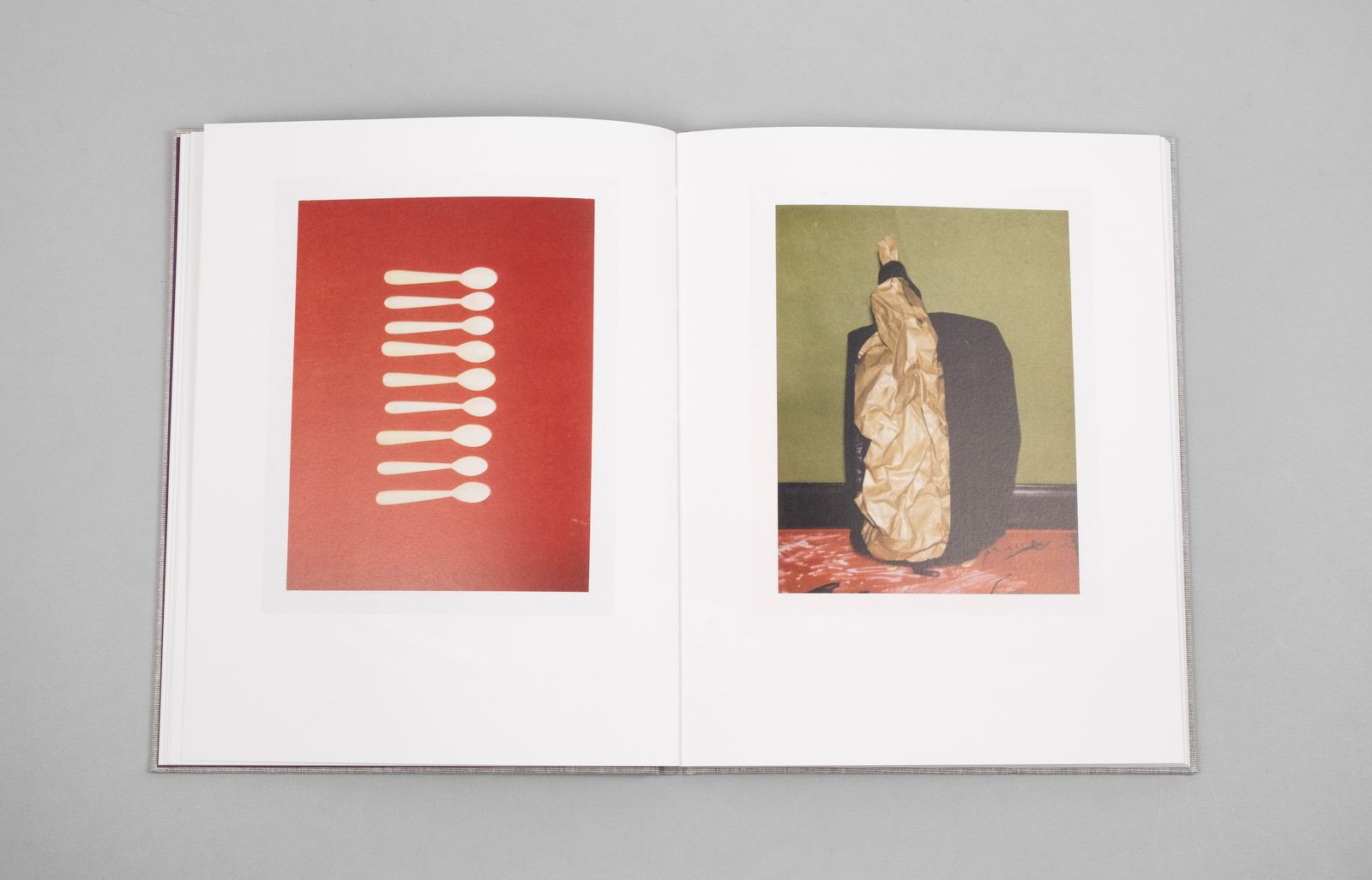 Photobook Review: Toos & Tiny by Jaap Scheeren