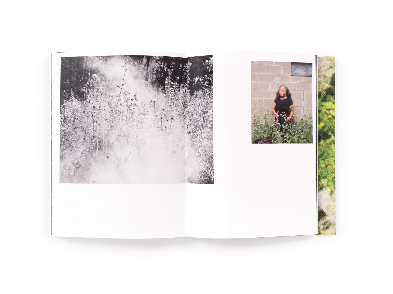 Photobook Review: My Grandfather Turned Into A Tiger... And Other Illusions by Pao Houa Her