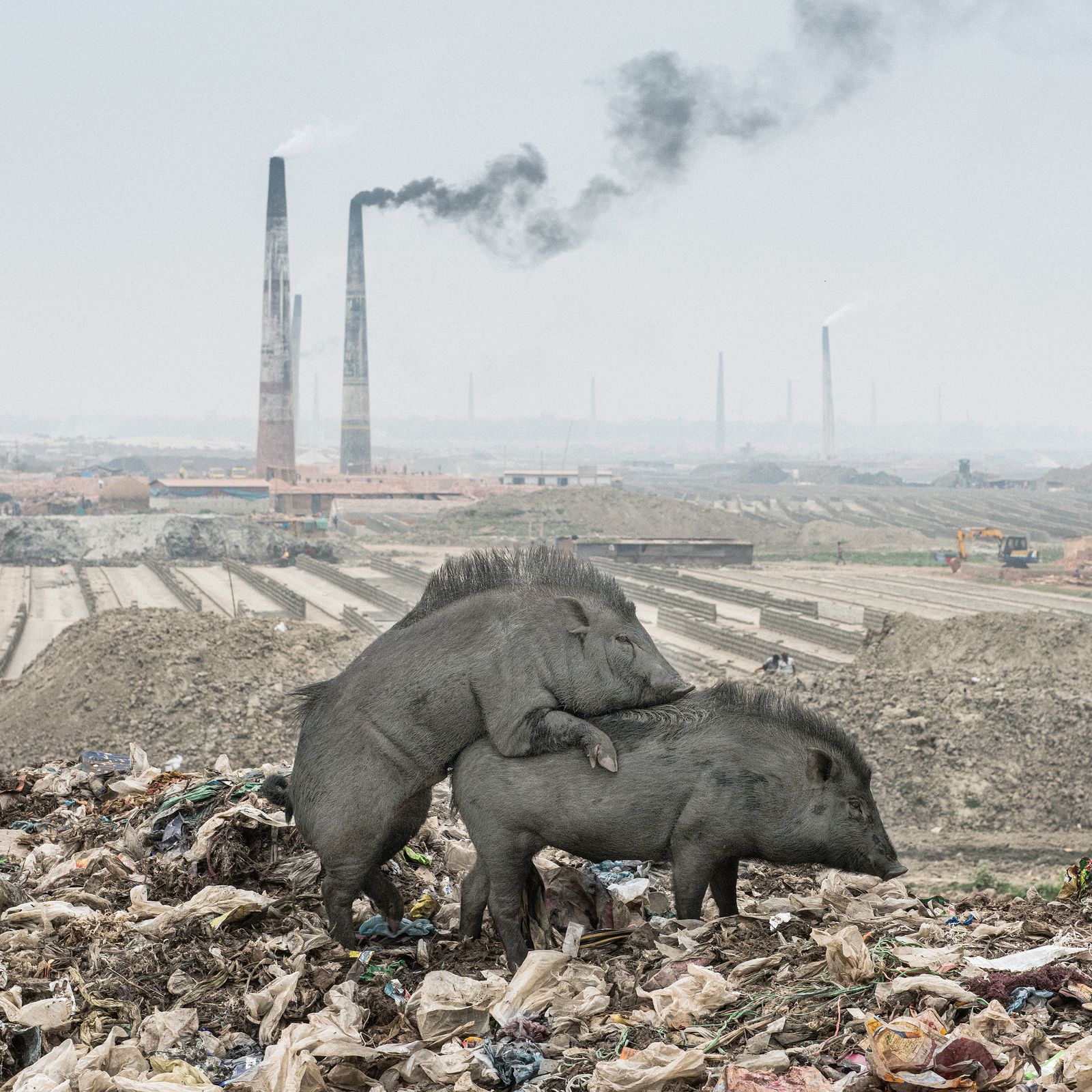 URBAN Photo Awards