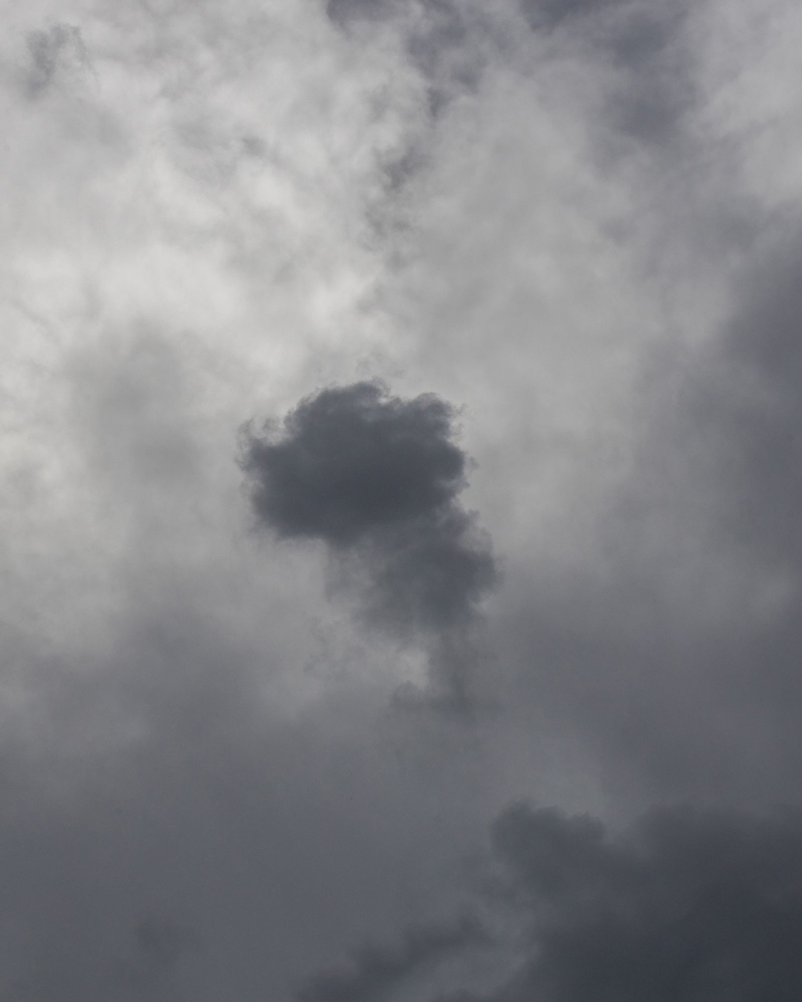 © Julia Vandenoever - Image from the While I Wait photography project