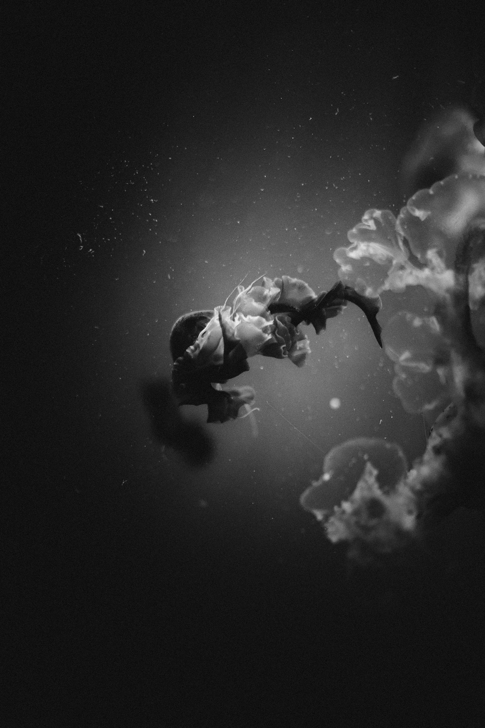 © Alejandra Vacuii - Image from the La Mala Fortuna photography project