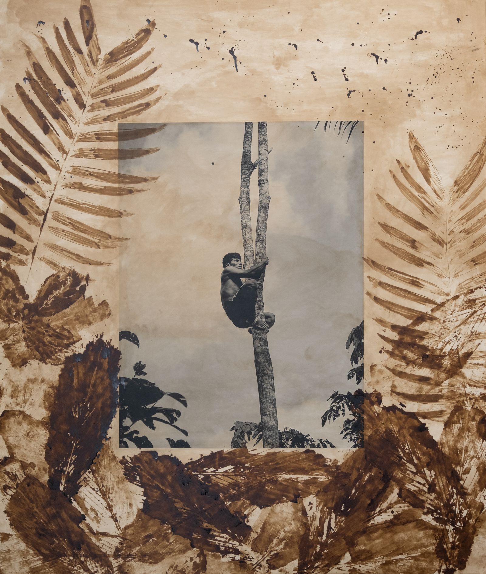 © Felipe Jacome - A young Waorani man climbs up a tree to pick chontaduro palm fruits.