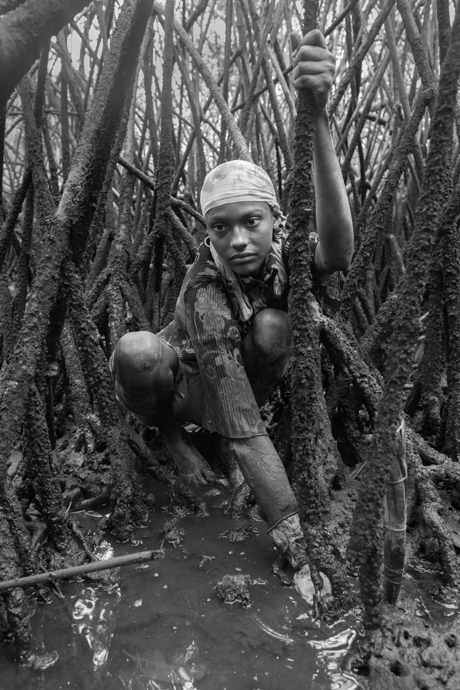 © Felipe Jacome - Image from the Lord of the mangrove photography project