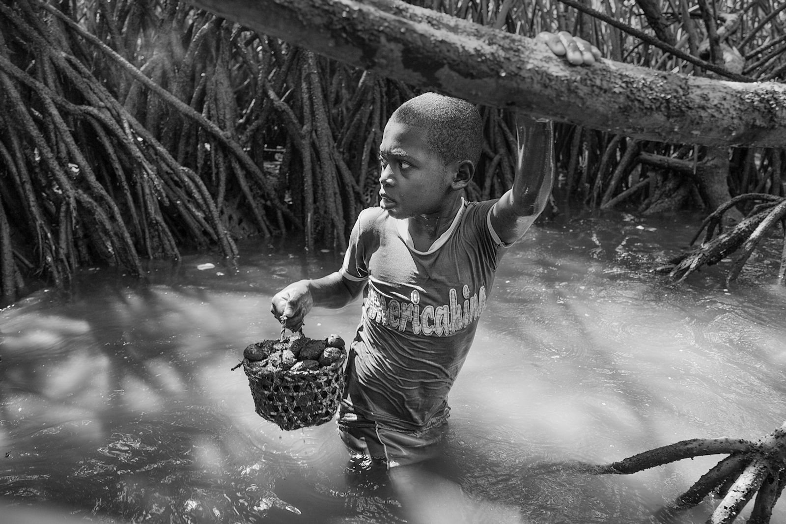 © Felipe Jacome - Image from the Lord of the mangrove photography project