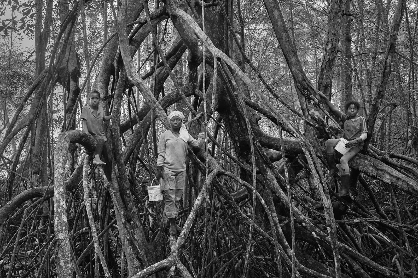 © Felipe Jacome - Image from the Lord of the mangrove photography project