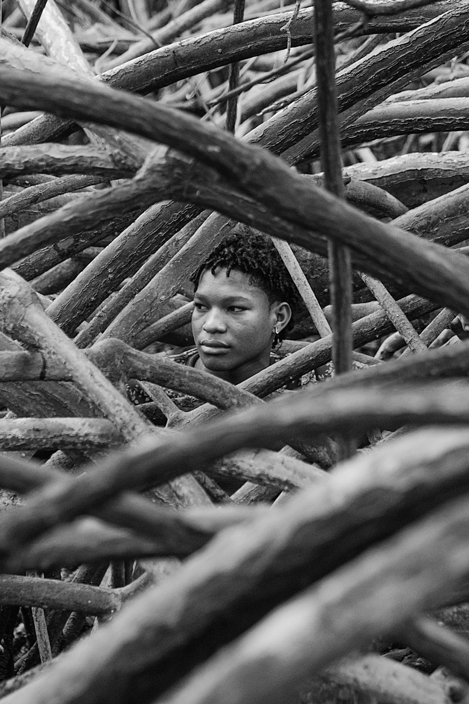 © Felipe Jacome - Jose Ramirez picks shells amongst the dense roots