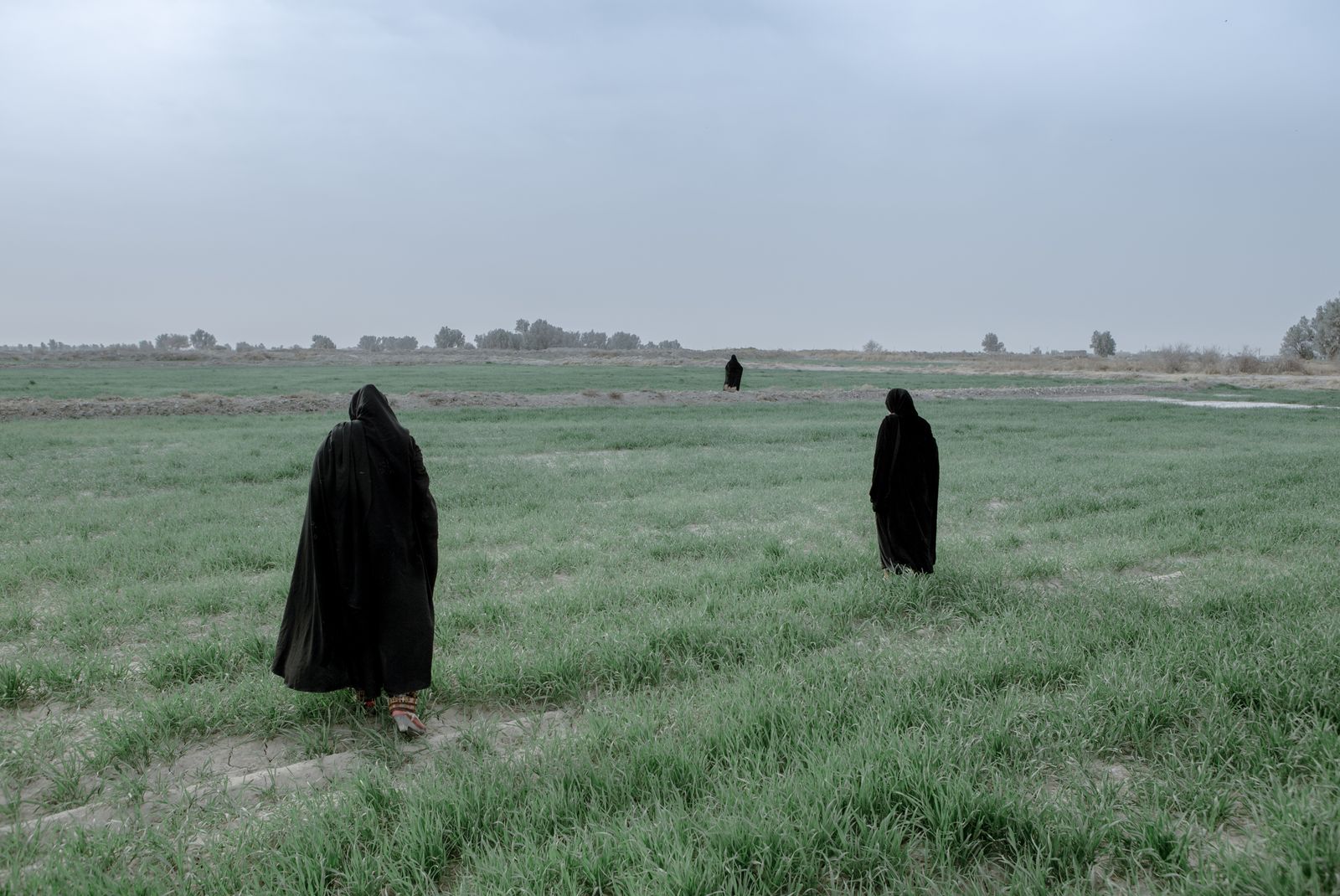 © Solmaz Daryani - Image from the In The Desert of Iran’s Wetlands photography project