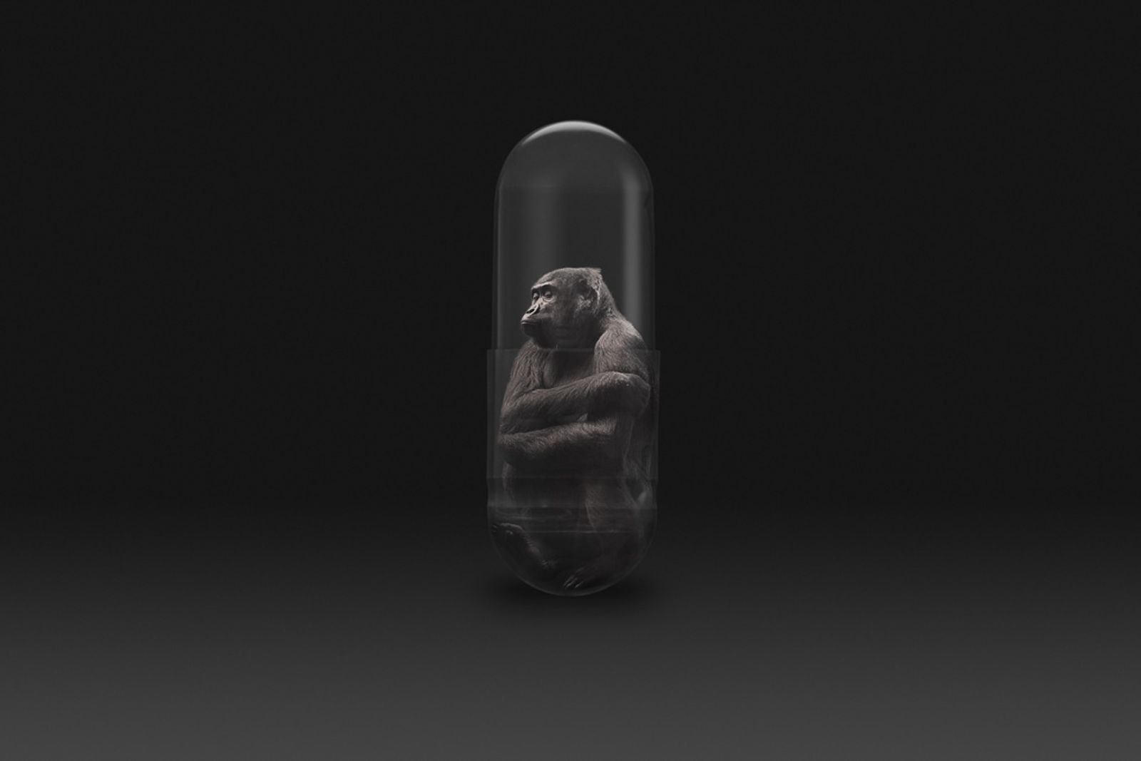 © Gianluca Micheletti - Image from the Lifepod photography project