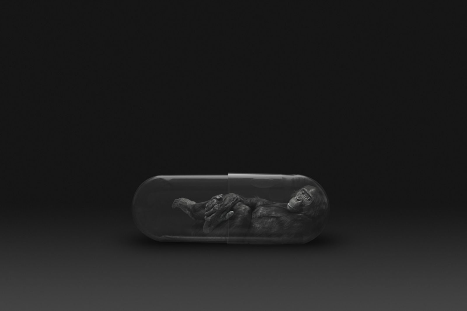 © Gianluca Micheletti - Image from the Lifepod photography project