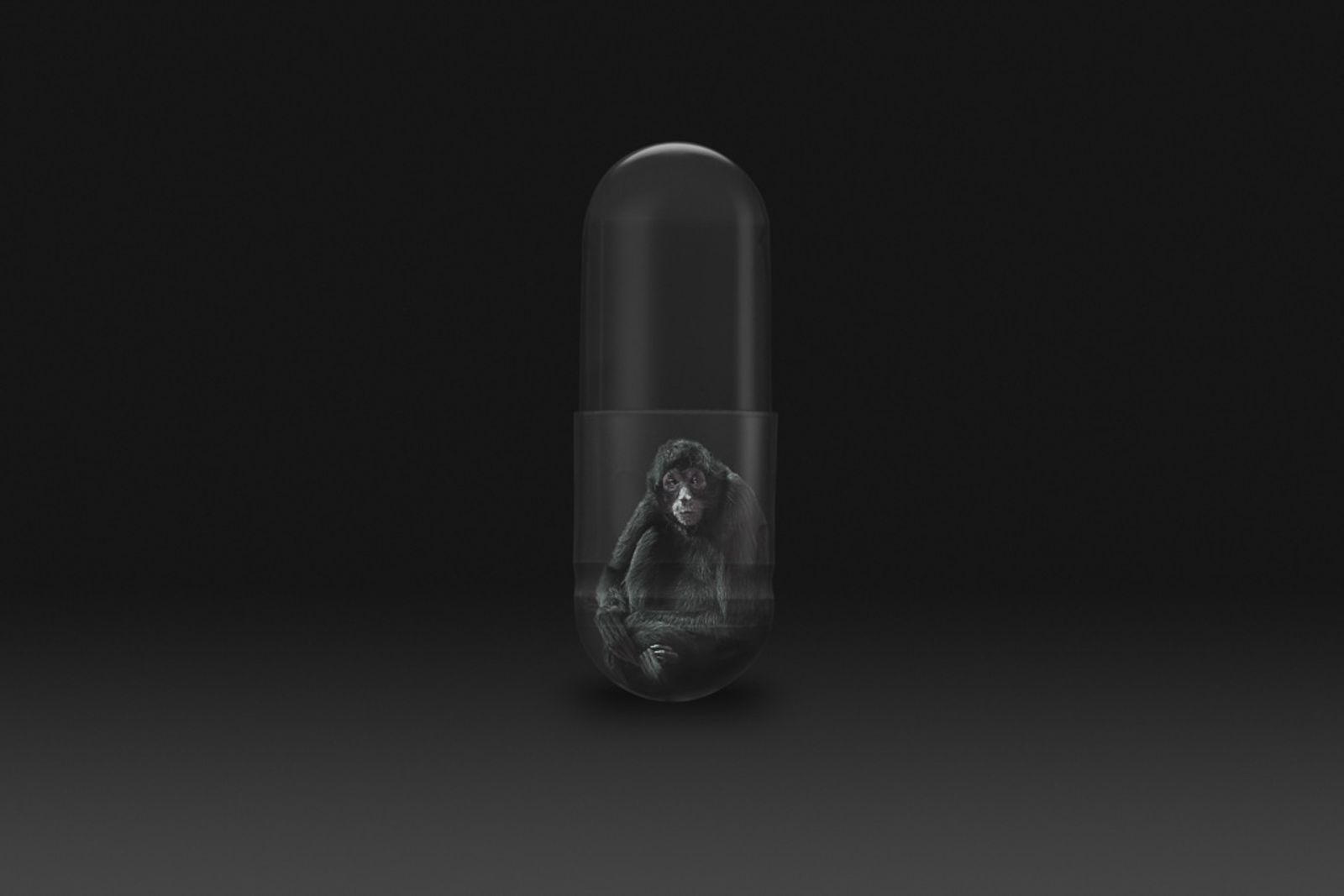 © Gianluca Micheletti - Image from the Lifepod photography project