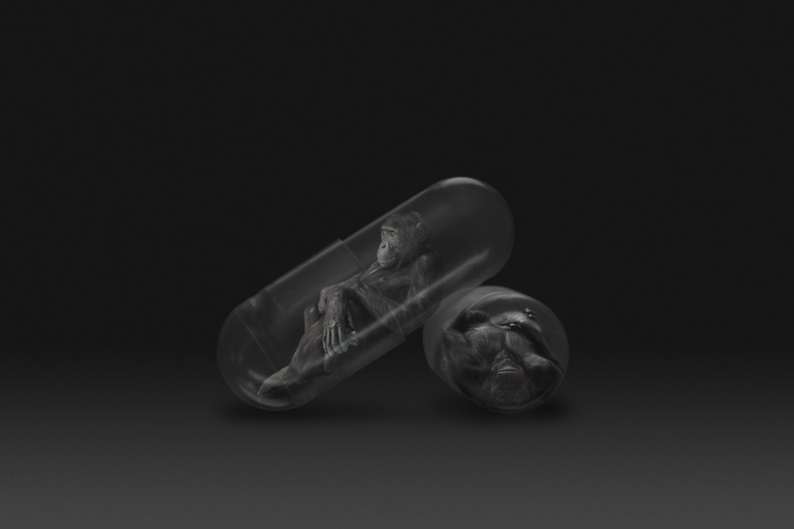 © Gianluca Micheletti - Image from the Lifepod photography project