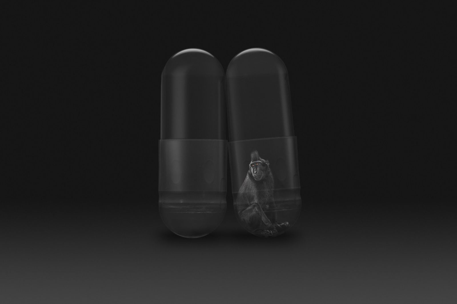 © Gianluca Micheletti - Image from the Lifepod photography project